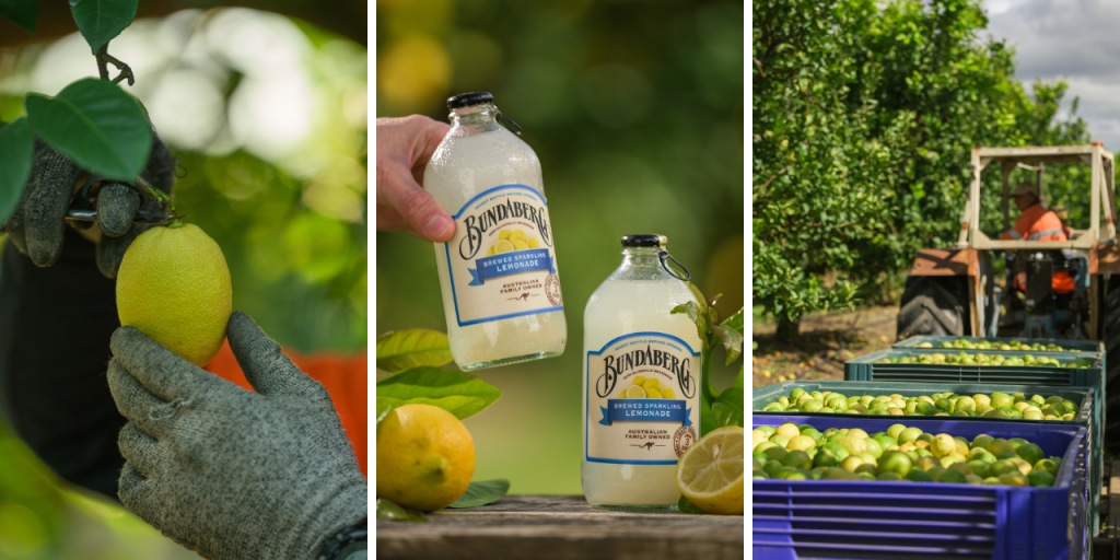 CraftBrewed Using Real Ingredients Bundaberg Brewed Drinks