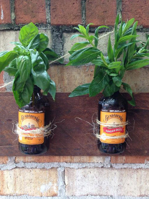 Herb Bottle Bundaberg Brewed Drinks